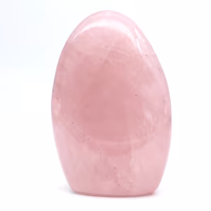Sammlung rosenquart