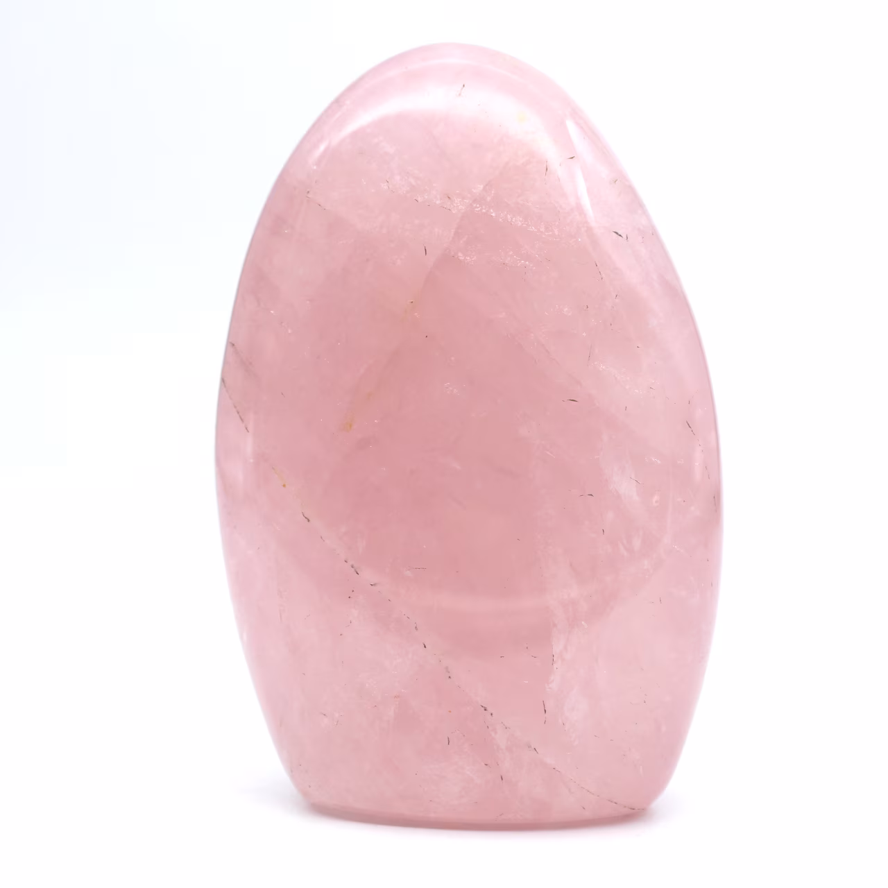 Sammlung rosenquart