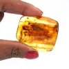 Gelber bernstein - 0