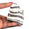 Zebra-Jaspis - 0