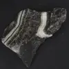 Zebra-Jaspis - 2