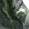 Ornamental polierte nephrit-jade - 7