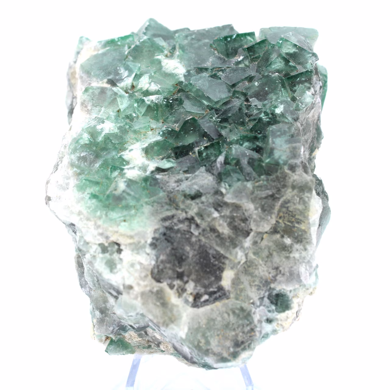 Kubische fluoritkristalle auf gangart