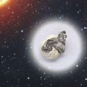 Meteoritenfragment von Campo del Cielo