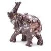 Elefant - 2