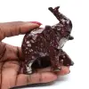 Elefant - 3