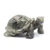 Schildkröte - 0