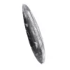 Marokkanische Orthoceras - 2