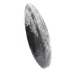 Orthoceras-Fossil - 2