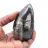 Marokkanische Orthoceras