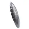 Fossile Orthoceras - 2