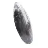 Orthoceras-Fossil Marokko - 2