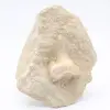 Fossiler Otodus-Haifischzahn - 0