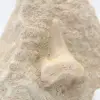 Fossiler Otodus-Haifischzahn - 1