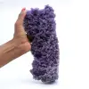 Chalcedon-Weintraube - 1