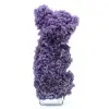 Chalcedon-Weintraube - 2