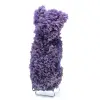 Chalcedon-Weintraube - 3
