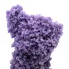Chalcedon-Weintraube - 9