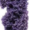 Chalcedon-Weintraube - 11