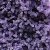 Chalcedon-Weintraube - 14