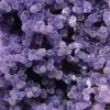 Chalcedon-Weintraube - 18