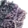 Chalcedon-Cluster - 10