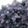 Chalcedon-Cluster - 13
