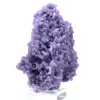 Chalcedon-Weintraube - 3