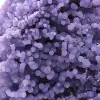 Chalcedon-Weintraube - 10