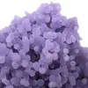 Chalcedon-Weintraube - 16