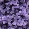 Chalcedon-Weintraube - 17