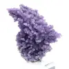 Chalcedon-Weintraube - 5