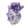 Chalcedon-Weintraube - 8