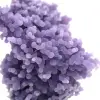 Chalcedon-Weintraube - 10