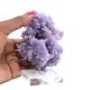 Chalcedon-Weintraube - 0