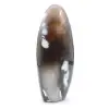 Zierachat - 3
