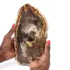 Poliertes versteinertes Holz aus Madagaskar - 0