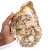 Poliertes verkieseltes Holz aus Madagaskar - 0