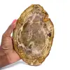 Natürliches versteinertes Holz - 0