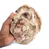 Verkieseltes Holz - 0
