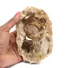 Poliertes verkieseltes Holz aus Madagaskar - 0