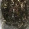 Chrysopras - 6