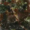 Natürlicher Chrysopras - 6
