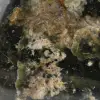 Briefbeschwerer aus Chrysopras - 6