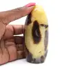 Septarien zur Abholung - 0