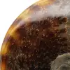 Natürlicher, ganzpolierter Ammonit aus Madagaskar - 4