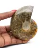 Ganzer polierter Ammonit aus Madagaskar - 0