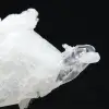 Himalaya-Quarz - 5