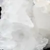 Quarz mit Fadenkern - 9