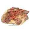 Kristallroter Vanadinit - 1